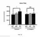 Fig. 05 - COMPOSITIONS AND METHODS COMPRISING BACTERIA FOR IMPROVING BEHAVIOR IN NEURODEVELOPMENTAL DISORDERS