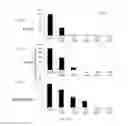 Fig. 05 - Extract of ssp. and uses thereof