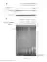 Fig. 17 - Extract of ssp. and uses thereof