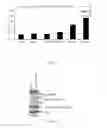 Fig. 20 - Extract of ssp. and uses thereof