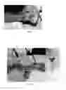 Fig. 02 - Pharmaceutical compositions for treating thermal injuries and wounds combined with bone injuries