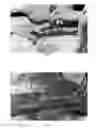 Fig. 03 - Pharmaceutical compositions for treating thermal injuries and wounds combined with bone injuries