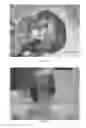 Fig. 17 - Pharmaceutical compositions for treating thermal injuries and wounds combined with bone injuries