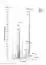 Fig. 02 - Composition for enhancing semen quality in a male subject