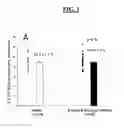 Fig. 03 - Methods and compositions for regulating SRCA2A expression levels in myocardial infarction