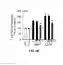 Fig. 17 - Inhibitors of mitochondrial fission and methods of use thereof