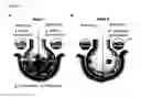 Fig. 07 - Lung injury repair compositions and methods