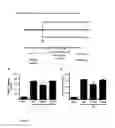 Fig. 02 - Methods and uses of slit for treating fibrosis