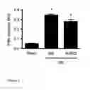 Fig. 03 - Methods and uses of slit for treating fibrosis