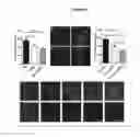 Fig. 06 - Stable neural stem cells comprising an exogenous polynucleotide coding for a growth factor and methods of use thereof