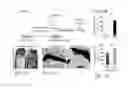 Fig. 02 - Systemic and local ex vivo gene therapy of the skeleton