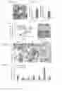 Fig. 08 - Systemic and local ex vivo gene therapy of the skeleton