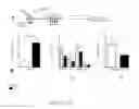 Fig. 02 - Methods and compositions for mobilizing stem cells