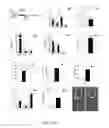 Fig. 06 - Methods and compositions for mobilizing stem cells
