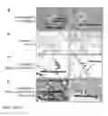 Fig. 06 - IL-12 COMPOSITIONS AND METHODS OF USE IN HEMATOPOIETIC RECOVERY