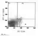 Fig. 09 - IL-12 COMPOSITIONS AND METHODS OF USE IN HEMATOPOIETIC RECOVERY