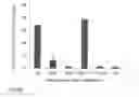 Fig. 13 - IL-12 COMPOSITIONS AND METHODS OF USE IN HEMATOPOIETIC RECOVERY