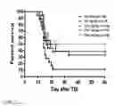 Fig. 14 - IL-12 COMPOSITIONS AND METHODS OF USE IN HEMATOPOIETIC RECOVERY