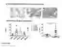Fig. 16 - IL-12 COMPOSITIONS AND METHODS OF USE IN HEMATOPOIETIC RECOVERY
