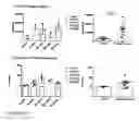 Fig. 17 - IL-12 COMPOSITIONS AND METHODS OF USE IN HEMATOPOIETIC RECOVERY
