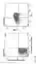 Fig. 25 - IL-12 COMPOSITIONS AND METHODS OF USE IN HEMATOPOIETIC RECOVERY