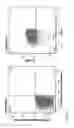 Fig. 27 - IL-12 COMPOSITIONS AND METHODS OF USE IN HEMATOPOIETIC RECOVERY