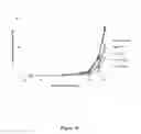 Fig. 12 - USES OF IL-12 IN HEMATOPOIETIC IMMUNOTHERAPY (HIT)