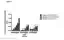 Fig. 10 - Acylated glucagon analogues