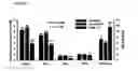 Fig. 12 - Acylated glucagon analogues
