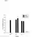 Fig. 13 - Acylated glucagon analogues