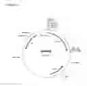 Fig. 09 - THERAPEUTIC AGENTS COMPRISING ELASTIN-LIKE PEPTIDES