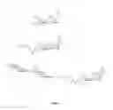 Fig. 02 - Factor VIII Conjugates