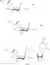 Fig. 08 - Factor VIII Conjugates