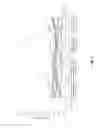 Fig. 07 - Dose escalation enzyme replacement therapy for treating acid sphingomyelinase deficiency