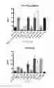 Fig. 12 - Compounds and methods for affecting cytokines