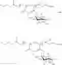 Fig. 20 - Sugar containing, amphiphilic copolymers