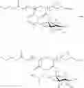 Fig. 23 - Sugar containing, amphiphilic copolymers