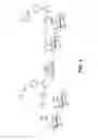 Fig. 04 - Chemical structures for localized delivery of therapeutic agents
