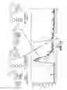 Fig. 10 - Chemical structures for localized delivery of therapeutic agents