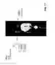 Fig. 14 - Chemical structures for localized delivery of therapeutic agents