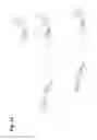 Fig. 16 - Coagulation factor VII polypeptides
