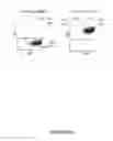 Fig. 08 - COMPOUNDS AND METHODS FOR TRANS-MEMBRANE DELIVERY OF MOLECULES