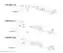 Fig. 22 - COMPOUNDS AND METHODS FOR TRANS-MEMBRANE DELIVERY OF MOLECULES