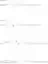 Fig. 18 - Modified Glycoproteins Having Circulating Half-Lives