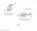 Fig. 09 - Bioorthogonal turn-on probes