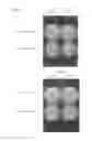 Fig. 06 - Filter and container having microbicidal activity