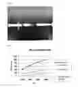 Fig. 04 - SINGLE SOLUTION of Gel-LIKE FIBRIN HEMOSTAT