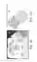 Fig. 06 - Composition, preparation, and use of chitosan shards for biomedical applications