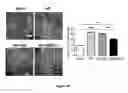 Fig. 07 - Materials and Methods for Rescue of Ischemic Tissue and Regeneration of Tissue Integrity During Resection, Engraftment and Transplantation