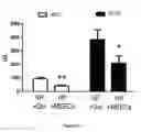 Fig. 08 - Materials and Methods for Rescue of Ischemic Tissue and Regeneration of Tissue Integrity During Resection, Engraftment and Transplantation